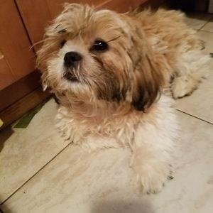 Meet your Posher, Esperanza